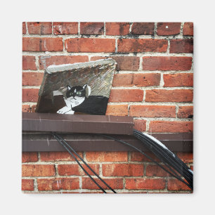 Aimant alley cat art