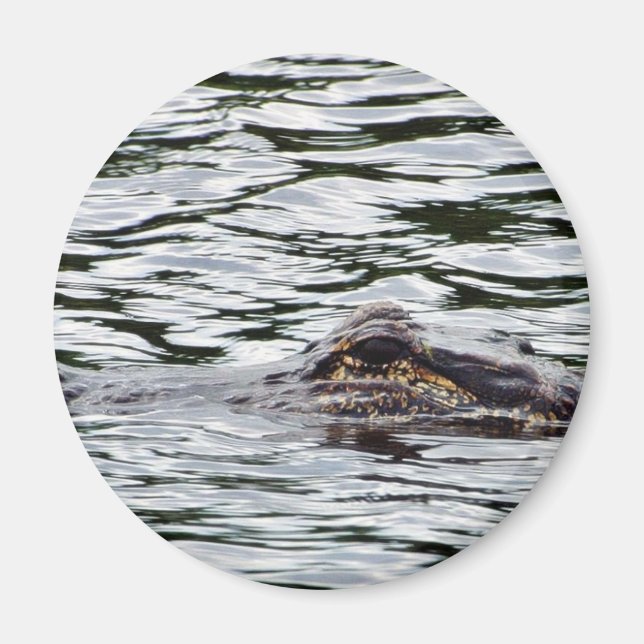 Aimant Alligators (Devant)