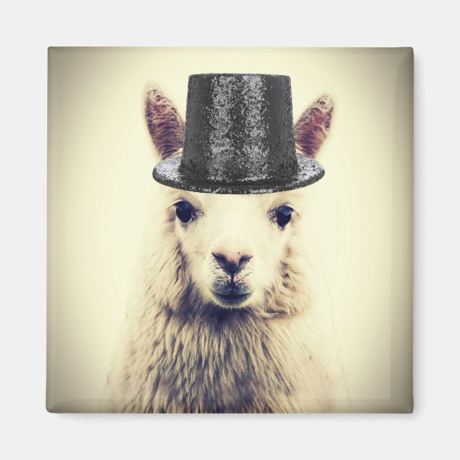 Aimant Alpaca dans un Tophat (Devant)