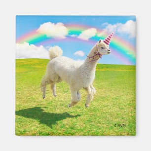 Aimant Alpaca Unicorne sous ciel ciel
