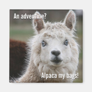Aimant Alpaga mes sacs pour l'aimant d'aventure