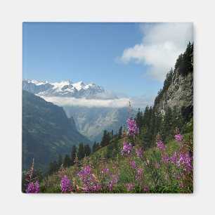 Aimant Alpes, Suisse