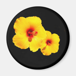 Aimant Amande d'hibiscus jaune