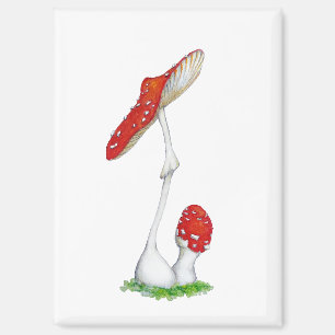 Aimant Amanita muscaria