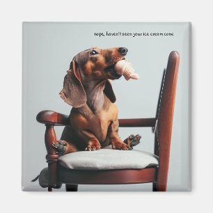 Aimant Amant Dachshund Ice Crème