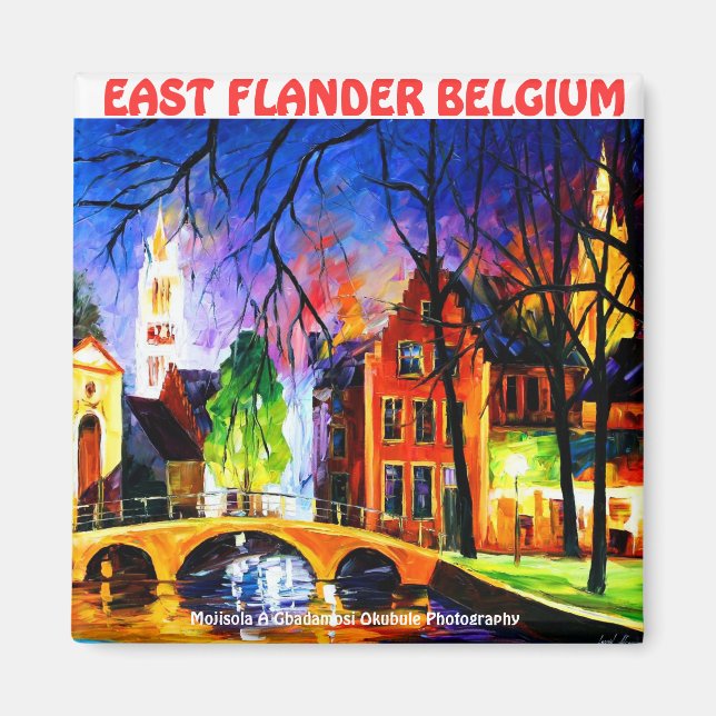 Aimant AMATEUR DE BELGIQUE FLANDRE EST PAR Moji Okubule (Devant)