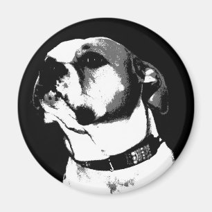 Aimant américain de bouledogue