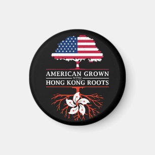 Aimant Américain développé avec des racines de Hong Ko
