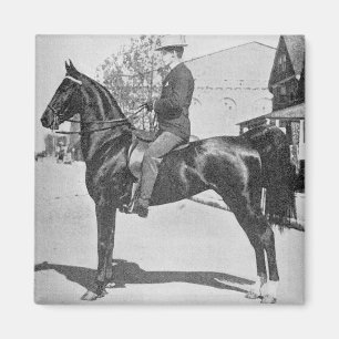 Aimant American Saddlebred Horse photo Vintage