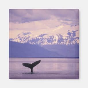 Aimant Amérique du Nord, États-Unis, Alaska, Passage Inté
