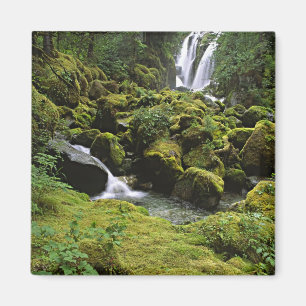 Aimant Amérique du Nord, États-Unis, Alaska. Une cascade