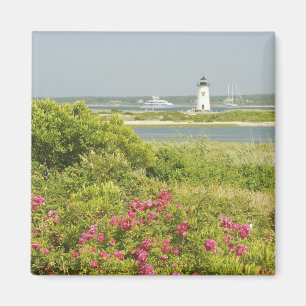 Aimant Amérique du Nord, États-Unis, Massachusetts, Marth
