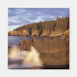 Aimant Amérique du Nord, États-Unis, ME, La côte rocheuse