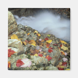 Aimant Amérique du Nord, États-Unis, NH, Automne en Nouve