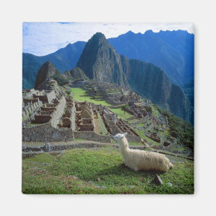 Aimant Amérique du Sud, Pérou. Un lama se repose sur une 