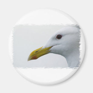 Aimant Amical Seagull ?