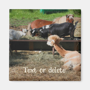 Aimant Amis d'animaux de ferme Personnalisé