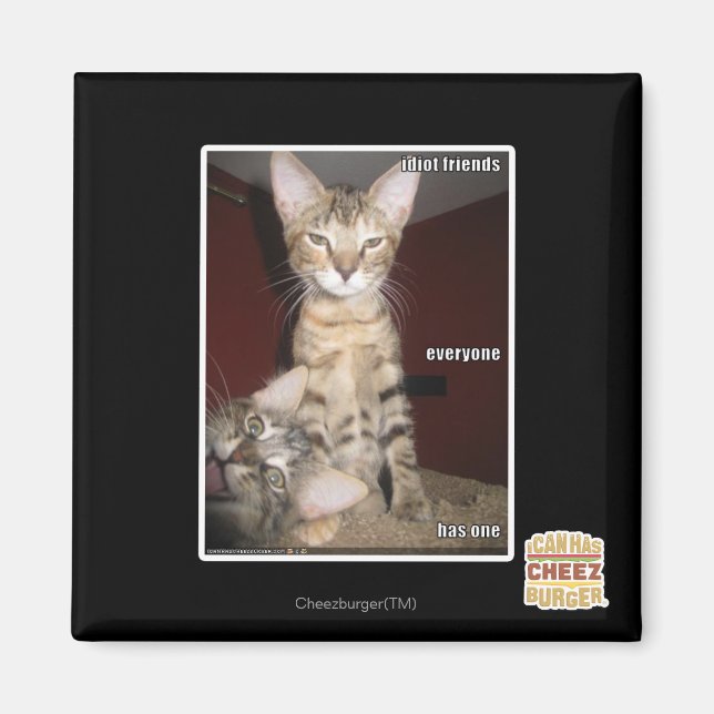 Aimant Amis Idiot (Devant)