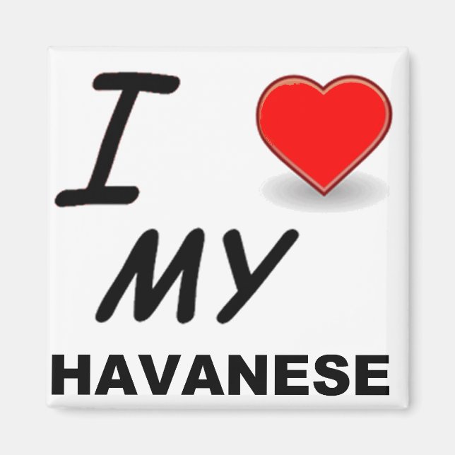 Aimant amour havanais (Devant)