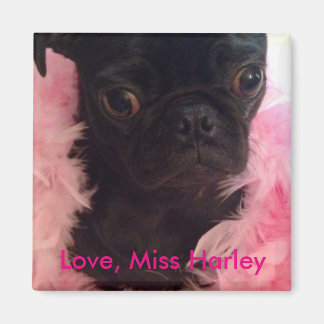 Aimant Amour, Mlle Harley