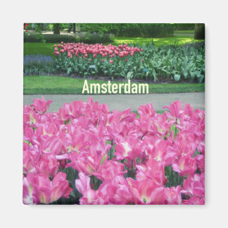 Aimant Amsterdam