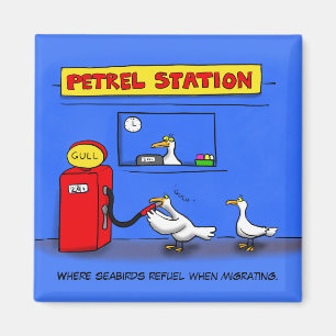 Aimant Amusant goéland de mer petrel caricature humour