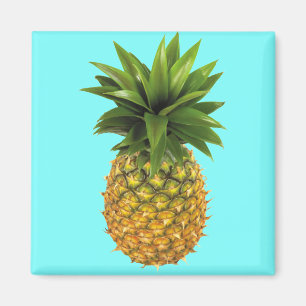 Aimant Ananas