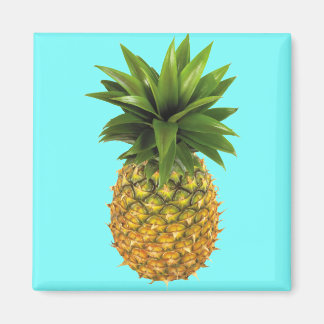 Aimant Ananas