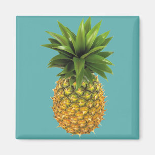 Aimant Ananas