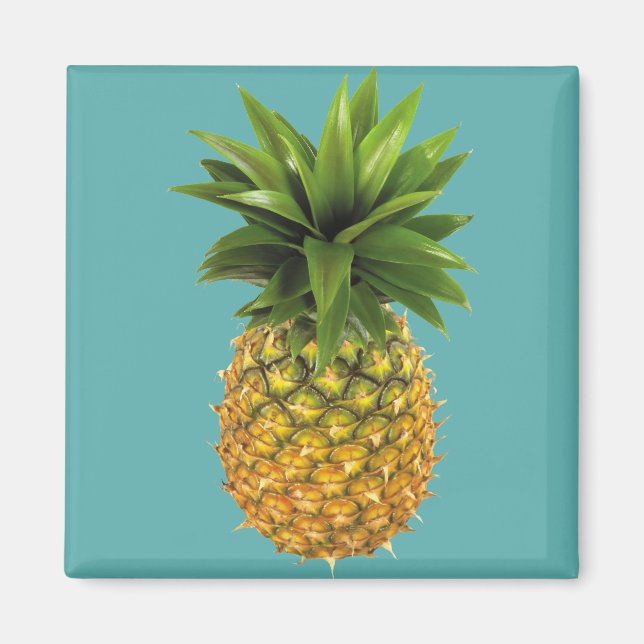 Aimant Ananas (Devant)