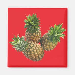 Aimant Ananas