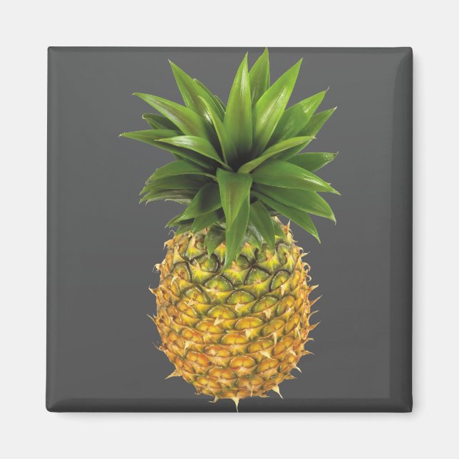 Aimant Ananas (Devant)