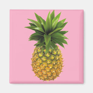 Aimant Ananas