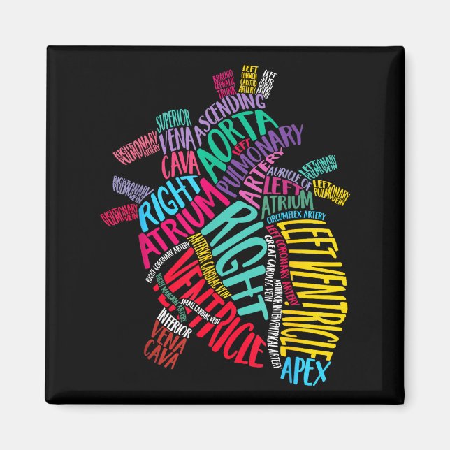 Aimant Anatomical Heart Design Cardiac Cardiovascular Icu (Devant)