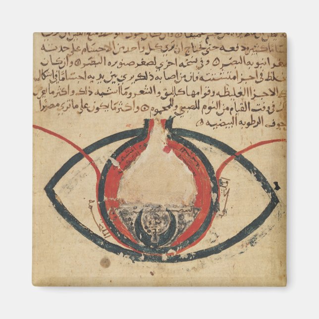 Aimant Anatomie de l'oeil, d'un livre sur les maladies oc (Devant)