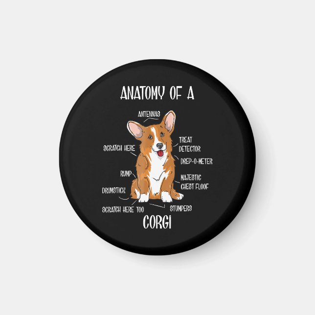 Aimant Anatomie du chien, Joli cadeau Welsh Corgi Biologi (Devant)