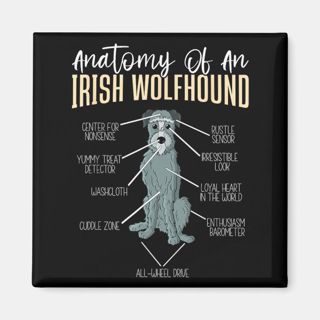 Aimant Anatomie d'un Irish Wolfhound  (Devant)