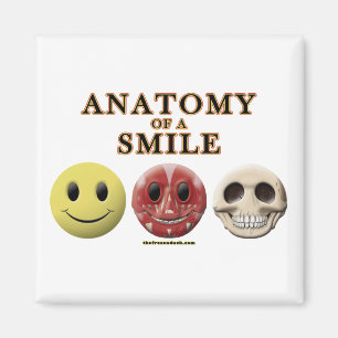 Aimant Anatomie d'un sourire