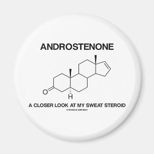 Aimant Androstenone Un Regard Plus Près De Mon Stéroïde S