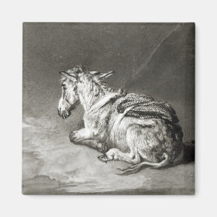 Aimant Âne au repos