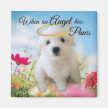 Ange Chiot