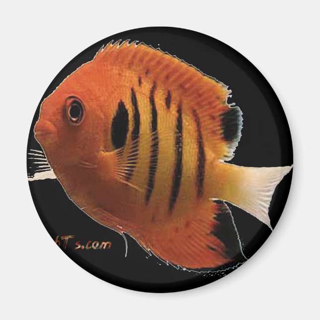 Aimant AngelFlamme (Devant)