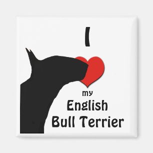 Aimant anglais de réfrigérateur de bull-terrier