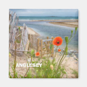 Aimant Anglesey Wales Vue Pittoresque Plage Et Poppies Sa