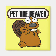 Animal de compagnie L'aimant Beaver