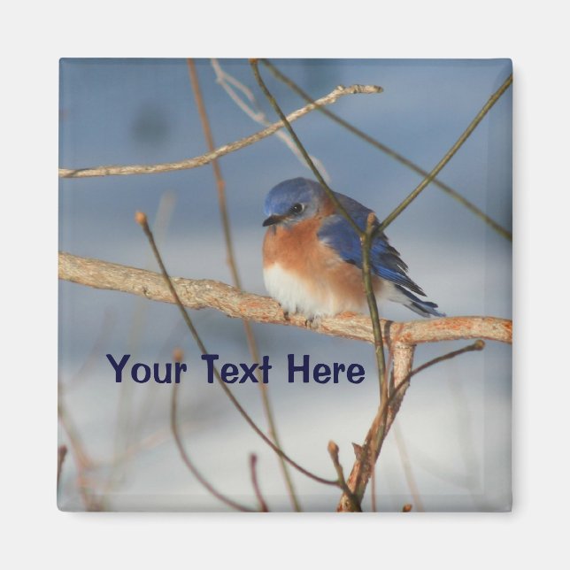 Aimant Animal personnalisé de Bluebird d'hiver (Devant)