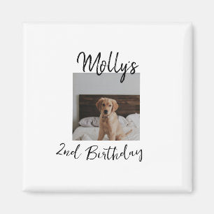 Aimant Animateur chien chat animal photo moderne simple