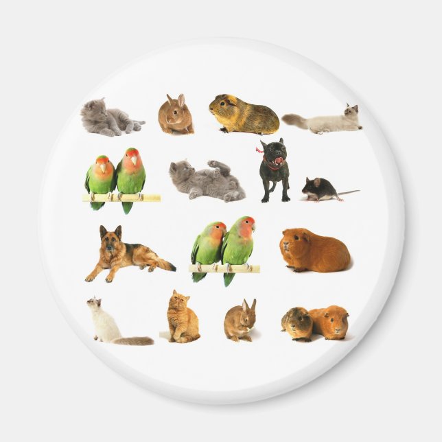 Aimant animaux (Devant)