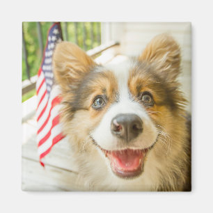 Aimant Animaux de bébés cutest Chiot de Corgi Patriotiq