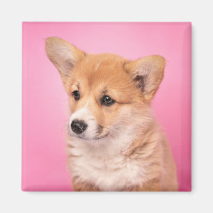 Aimant Animaux de bébés cutest Corgi Chiot rose